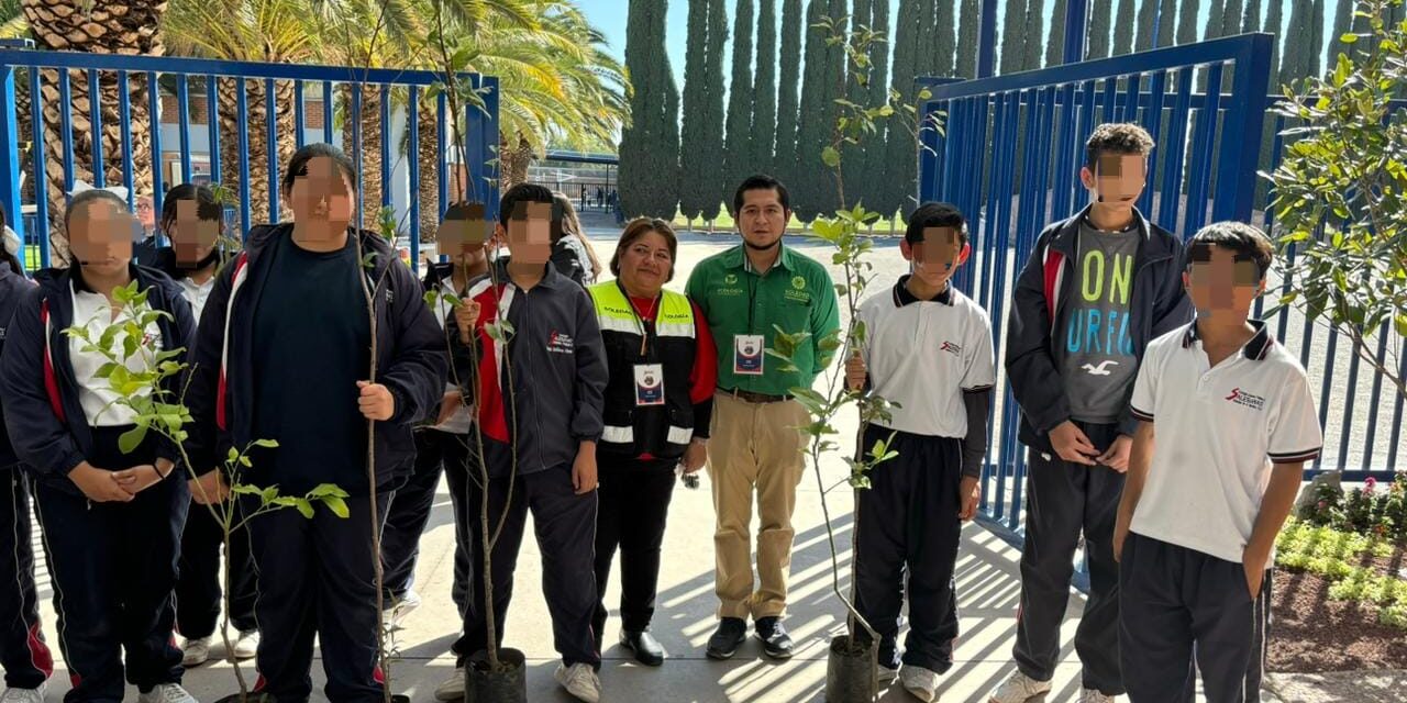 AYUNTAMIENTO DE SOLEDAD CULMINA SATISFACTORIAMENTE CAMPAÑA DE REFORESTACIÓN