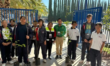 AYUNTAMIENTO DE SOLEDAD CULMINA SATISFACTORIAMENTE CAMPAÑA DE REFORESTACIÓN