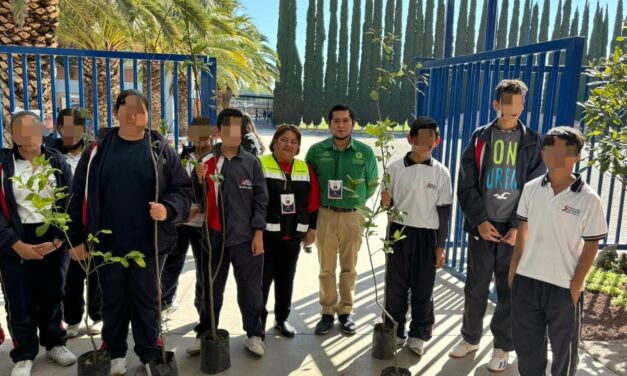 AYUNTAMIENTO DE SOLEDAD CULMINA SATISFACTORIAMENTE CAMPAÑA DE REFORESTACIÓN