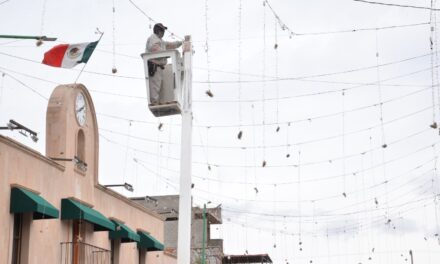 AYUNTAMIENTO DE SOLEDAD INICIA DECORACIÓN NAVIDEÑA PLAZA PRINCIPAL Y CALLES