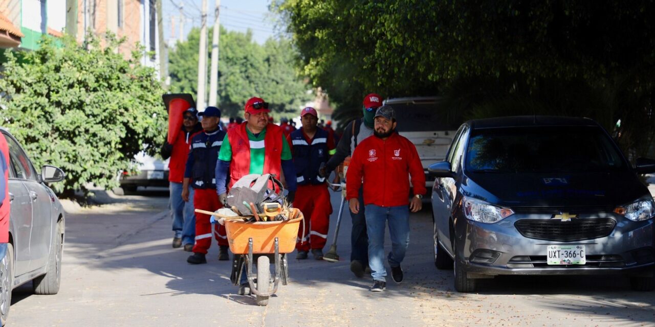 CON TRABAJOS EN PLAZAS, JARDINES Y CAMELLONES, EL AYUNTAMIENTO MEJORA LA IMAGEN DE LA CAPITAL