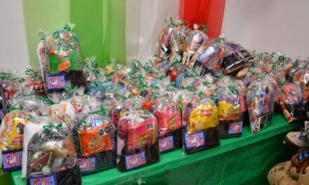 AYUNTAMIENTO SOLEDENSE PREPARA ACTIVIDADES EN FAVOR DE ADULTOS MAYORES, EN DICIEMBRE