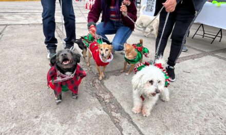 UN ÉXITO PRIMER FESTIVAL CANINO NAVIDEÑO