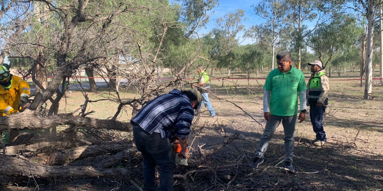 GOBIERNO ESTATAL ATENDIÓ REPORTES POR FUERTES VIENTOS