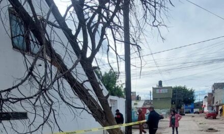 PROTECCIÓN CIVIL DE SOLEDAD ATIENDE INCIDENCIAS POR FUERTES RÁFAGAS DE VIENTO