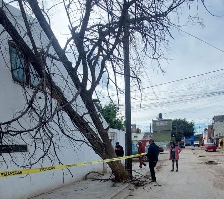 PROTECCIÓN CIVIL DE SOLEDAD ATIENDE INCIDENCIAS POR FUERTES RÁFAGAS DE VIENTO