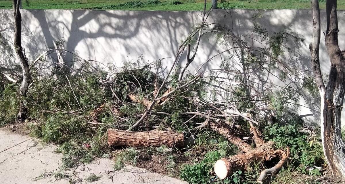 EN SOLEDAD, SALDO BLANCO TRAS DÍAS DE FUERTES VIENTOS: PC MUNICIPAL