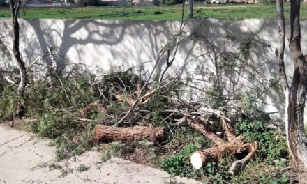 EN SOLEDAD, SALDO BLANCO TRAS DÍAS DE FUERTES VIENTOS: PC MUNICIPAL