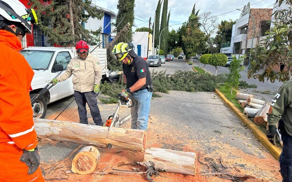 GOBIERNO ESTATAL BRINDÓ APOYO Y ATENDIÓ REPORTES POR RÁFAGAS DE VIENTO
