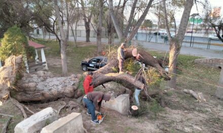 MARTES 9 DE ENERO EL TANGAMANGA I PERMANECERÁ CERRADO