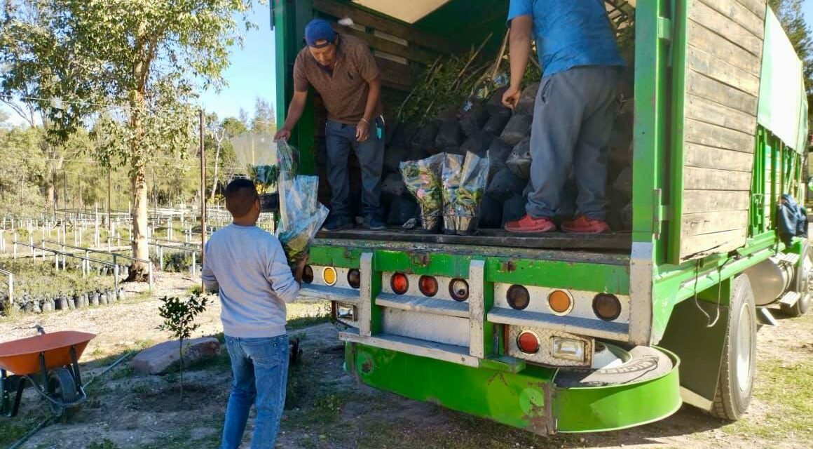 GOBIERNO IMPULSA PROYECTO AMBIENTAL EN SAN LUIS POTOSÍ