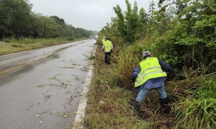 EN DICIEMBRE, GOBIERNO ATENDIÓ MÁS DE 160 KILÓMETROS DE CAMINOS
