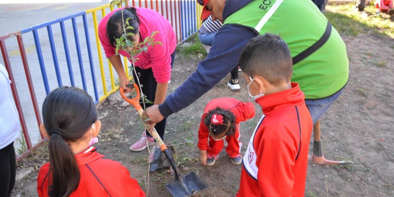 ECOLOGÍA MUNICIPAL DE SOLEDAD REINICIA ACCIONES DE REFORESTACIÓN EN ESCUELAS