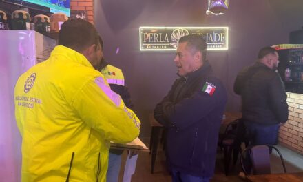 GOBIERNO FORTALECE INSPECCIONES EN BARES Y CENTROS DE ENTRETENIMIENTO