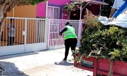 SOLEDAD DE G. S. AMPLÍA Y REFUERZA PROGRAMA INTEGRAL DE LIMPIEZA DE CALLES Y AVENIDAS