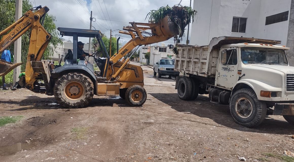 EN APOYO AL CAMPO SOLEDENSE, AYUNTAMIENTO COADYUVA EN LA LIMPIEZA DE CANALES DE RIEGO